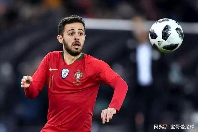 这一指令不 这一指令不