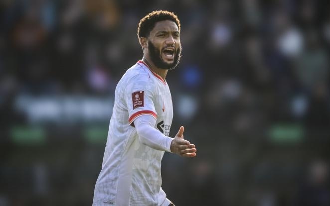 山东男篮有 山东男篮有