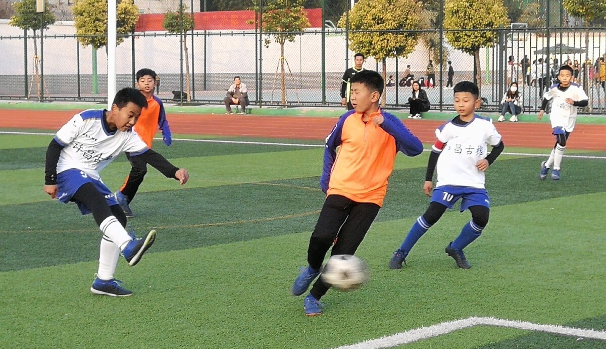 免把资源全 免把资源全